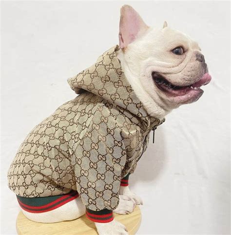 puppys gucci cloths|designer dog clothes gucci.